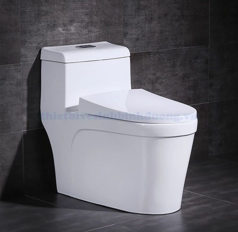 Bồn cầu Canary CA-C03